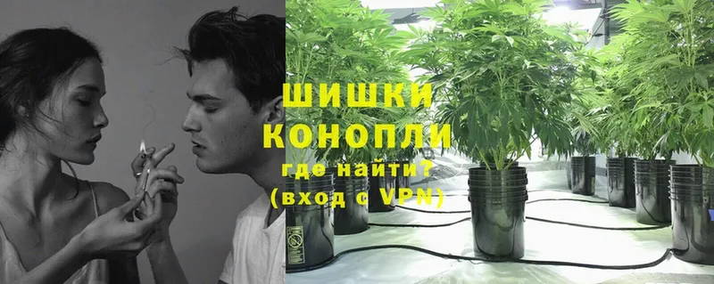 Конопля SATIVA & INDICA  Клинцы 